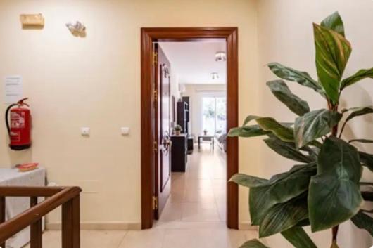 Apartamento En Primera Linea De Playa El Palo Málaga Exteriör bild